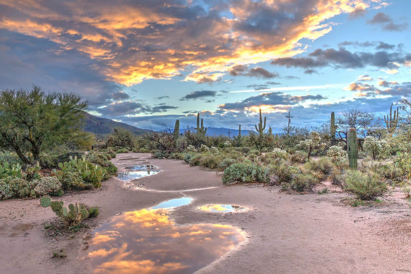 Chandler AZ