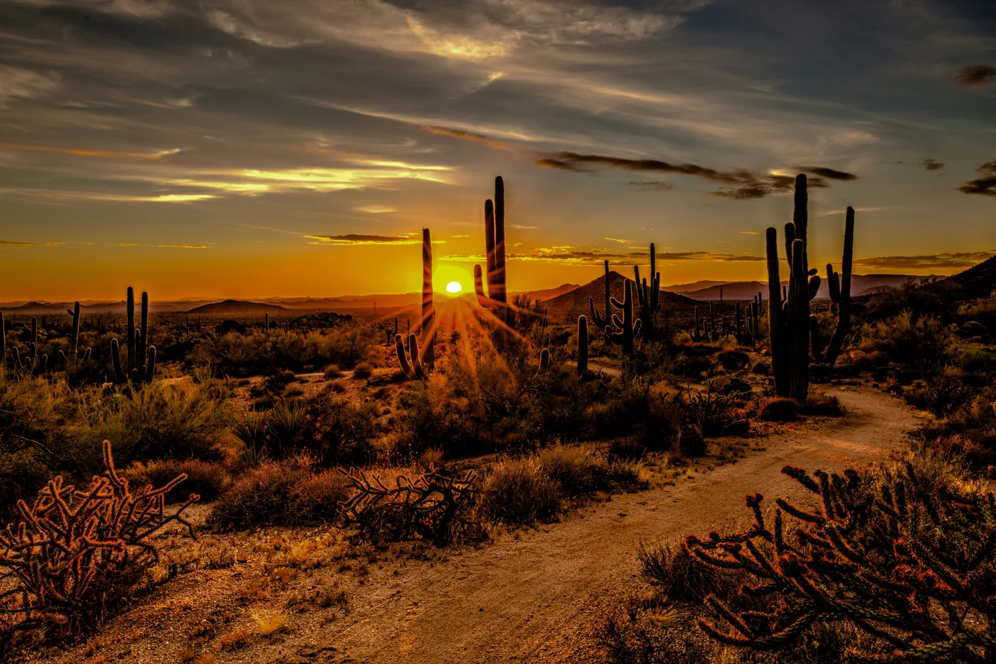 Gilbert AZ